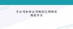 子公司和分公司他們之間的區別是什么